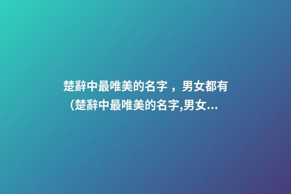 楚辭中最唯美的名字，男女都有（楚辭中最唯美的名字,男女都有什么）
